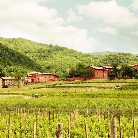 Agriturismo L'Uva E Le Stelle Faedis Экстерьер фото