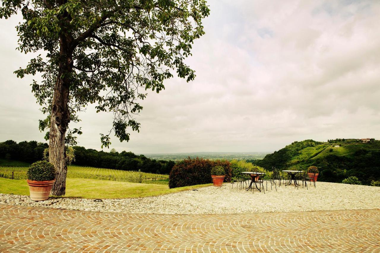 Agriturismo L'Uva E Le Stelle Faedis Экстерьер фото